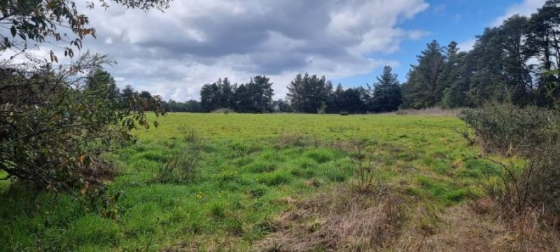 Parcela en Venta en  Camino a Las Lomas, Llanquihue