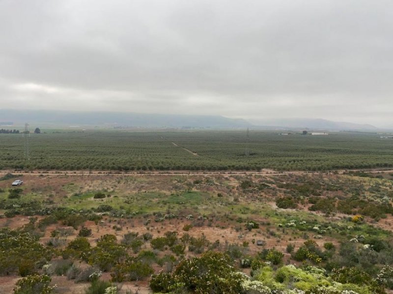 Loteo en Venta en  Coquimbo, Elqui