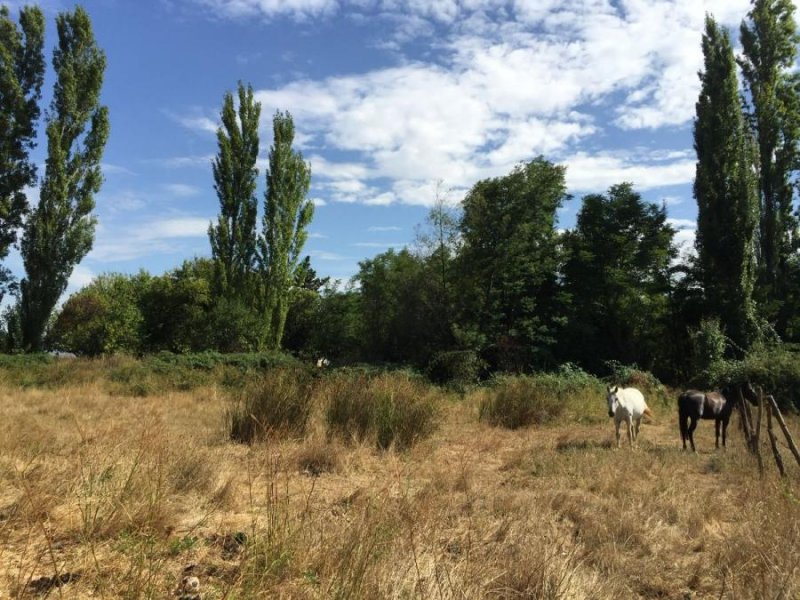 Terreno en Venta en  Chillán, Ñuble