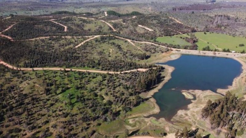 Terreno en Venta en  La Estrella, Cardenal Caro