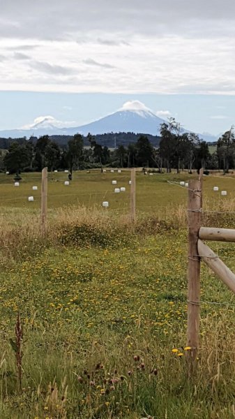 Parcela en Venta en Loncotoro LLanquihue, Llanquihue