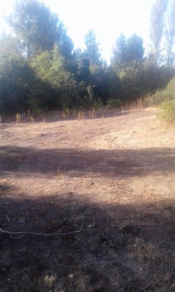 Terreno en Venta en  Los Angeles, Biobio