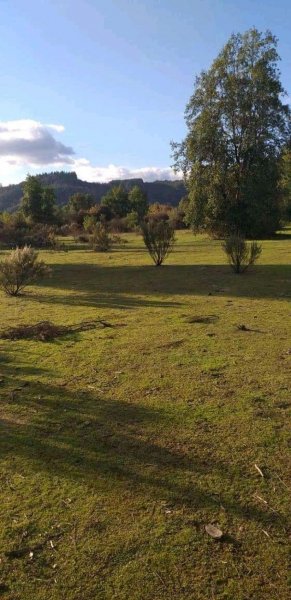 Foto Parcela en Venta en Rauco, Curicó - 5 hectareas - $ 7.000.000 - PAV98268 - BienesOnLine