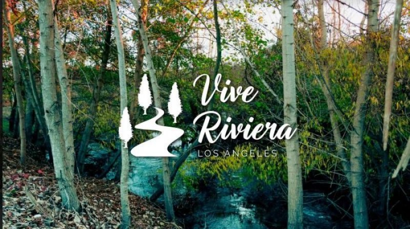 Parcela en Venta en  rivera, Biobio