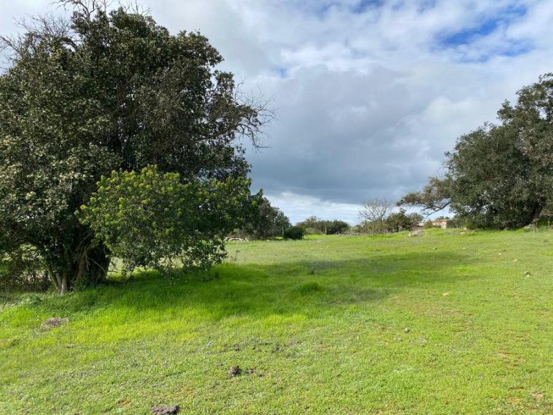 Terreno en Venta en Yali Santo Domingo, San Antonio