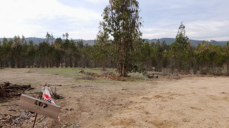 Foto Terreno en Venta en Vichuquén, Curicó - $ 14.990.000 - TEV129771 - BienesOnLine