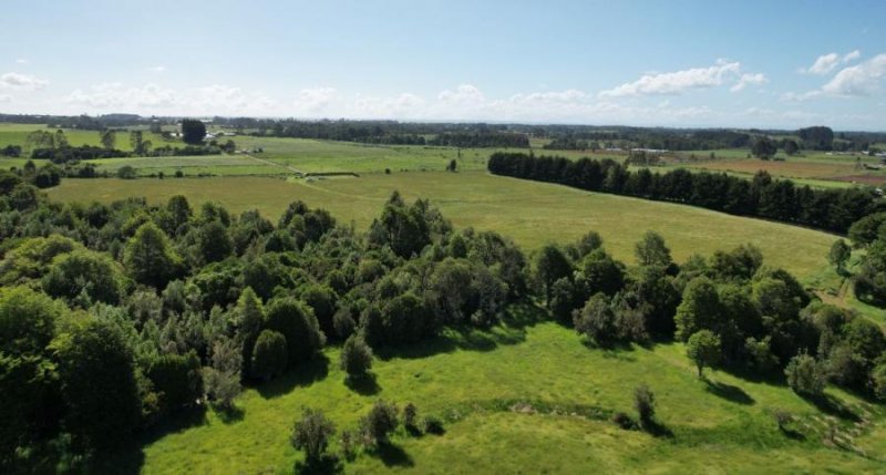 Parcela en Venta en LOS MUERMOS FUNDO CHUCAO, Llanquihue