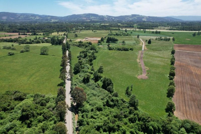 PARCELAS PAILLACO- RIBERAS DE LLOLLELHUE