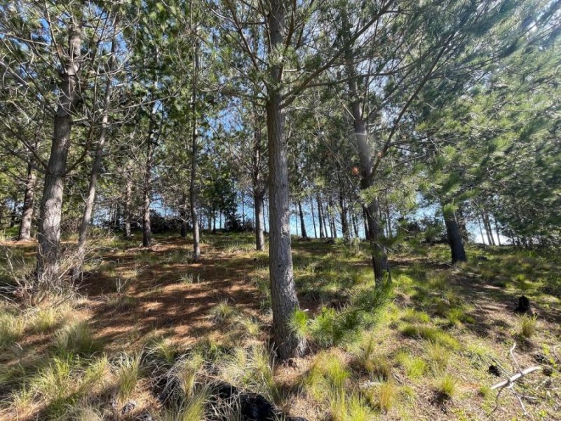 Parcela en Venta en ALTO COLORADO Pichilemu, Cardenal Caro