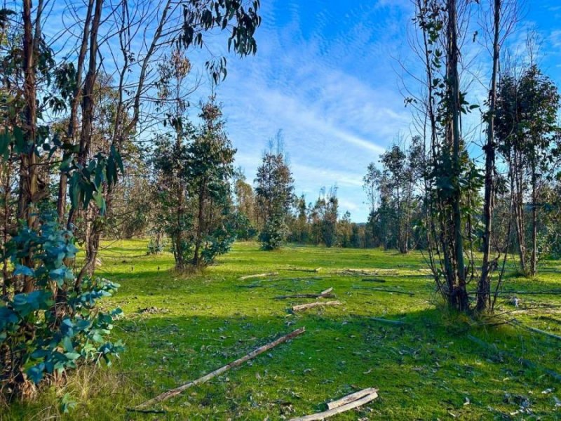 Terreno en Venta en  Curicó, Curicó