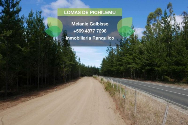 Foto Parcela en Venta en Pichilemu, Cardenal Caro - $ 16.990.000 - PAV89154 - BienesOnLine