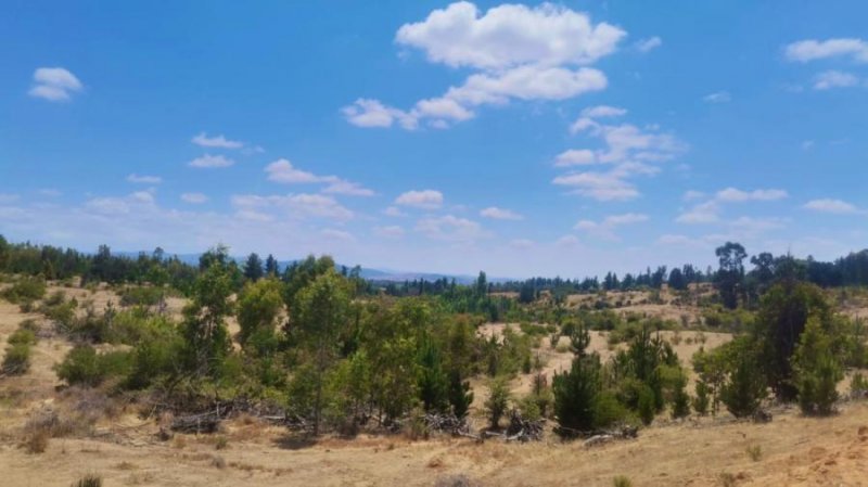 PARCELAS PLANAS CON ROL PROPIO A 1 MINUTO DE CAUQUENES