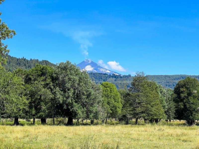 Parcela en Venta en PALGUIN BAJO Pucón, Cautin