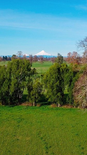 Parcela en Venta en Praderas de Purranque Purranque, Osorno