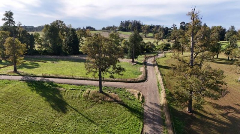 Parcela en Venta en RÍO NEGRO Río Negro, Osorno