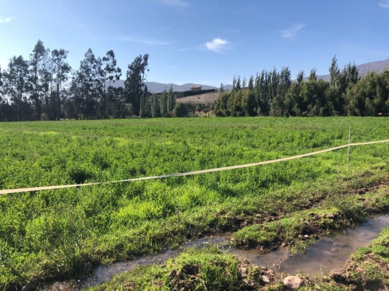 Parcela en Venta en Altovalsol La Serena, Elqui