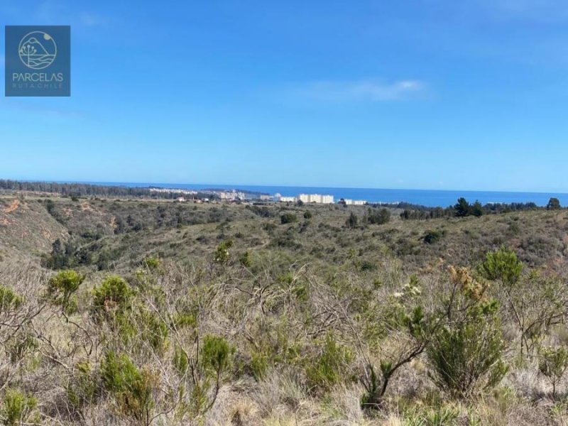 Parcela en Venta en  Algarrobo, San Antonio