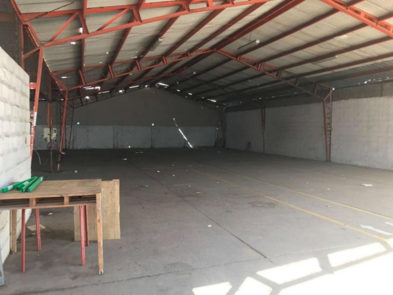 PB. Vende galpon 800 m2, 380 volt, baños, oficinas