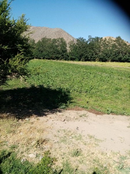 Foto Terreno en Venta en Putaendo, San Felipe de Aconcagua - $ 120.000.000 - TEV126762 - BienesOnLine