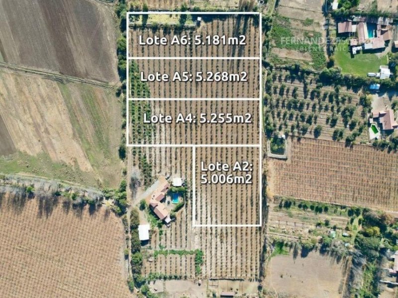 Terreno en Venta en  Putaendo, San Felipe de Aconcagua