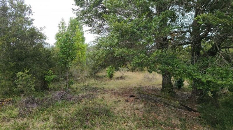 Terreno en Venta en  Quemchi, Chiloe