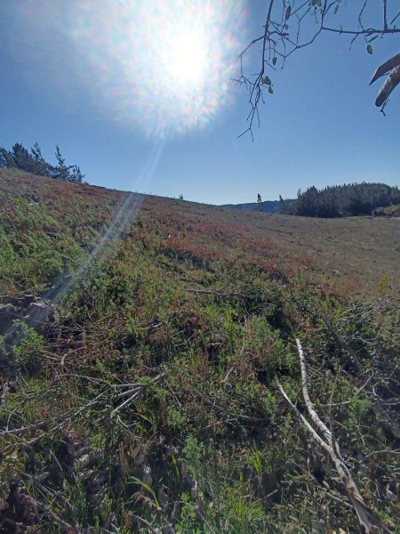 Terreno en Venta en  Quile, Ñuble