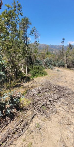 Parcela en Venta en rural COLLIGUAY, Valparaiso