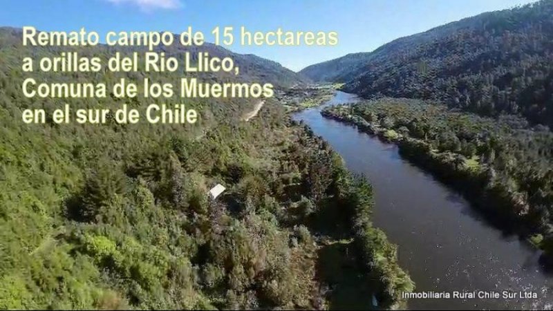 REMATE. Vendo 15 hectareas a orillas del Rio Llico comuna de los Muermos sur de Chile