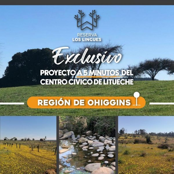 Loteo en Venta en  Litueche, Cardenal Caro