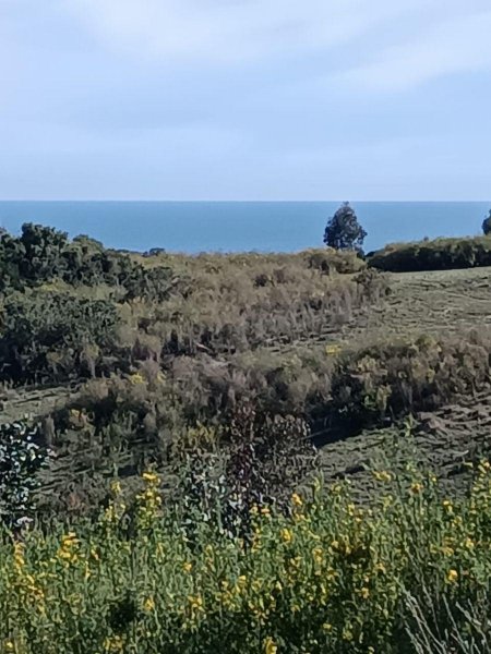 Terreno en Venta en Valle de Taucu Rinconada de Taucu, Ñuble