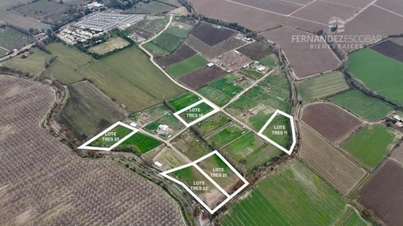 RINCONADA - VENTA TERRENOS PLANOS DE 5.000m2 - SAN GUILLERMO