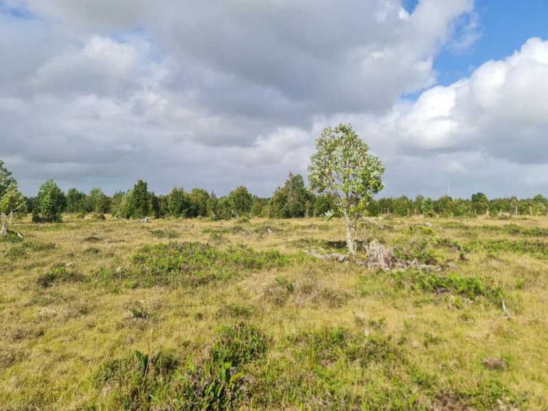 Terreno en Venta en  Calbuco, Llanquihue