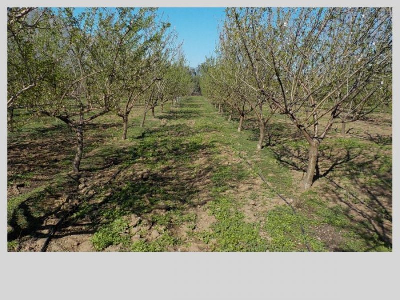 Terreno en Venta en  San Felipe, San Felipe de Aconcagua