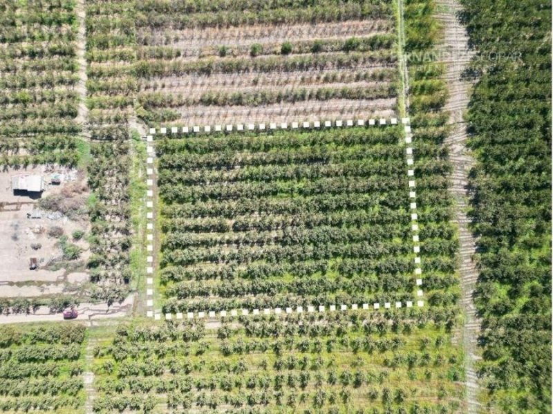 Terreno en Venta en  Santa María, San Felipe de Aconcagua