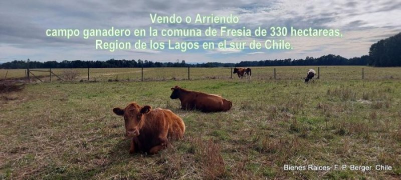 Agricola en Arriendo en  Fresia, Llanquihue