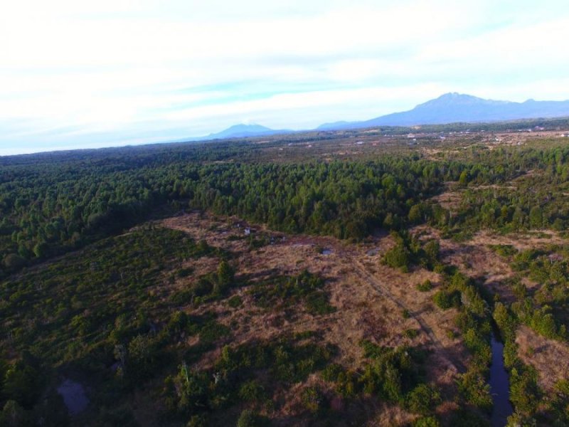 Foto Agricola en Venta en Alerce, Llanquihue - 9 hectareas - $ 140.000.000 - AGV108052 - BienesOnLine