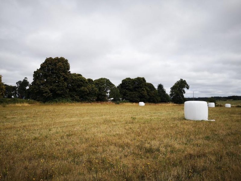 Agricola en Venta en  CRUCERO, Osorno