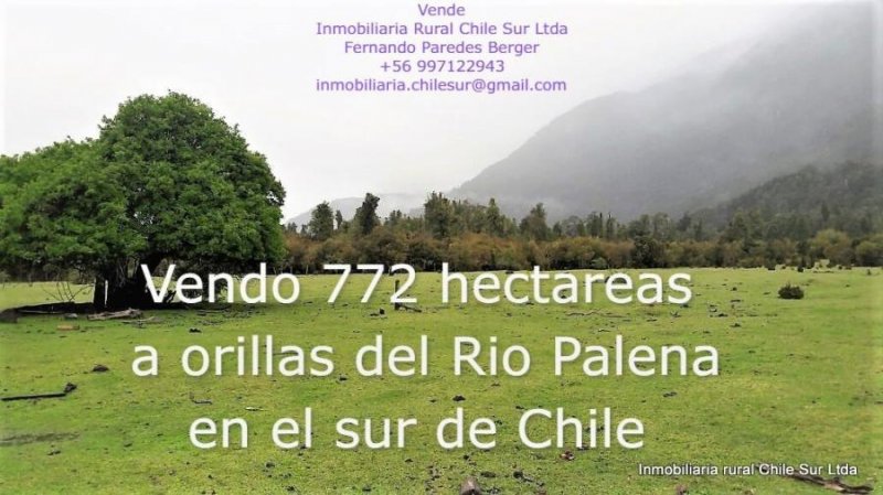 VENDIDO ENERO 2025. campo Ganadero  de 772 hectáreas a orillas del Rio Palena en el sur de Chile