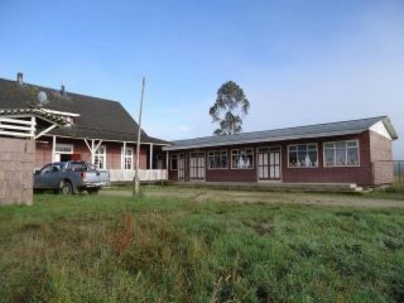 Comercial en Venta en  Fresia, Llanquihue