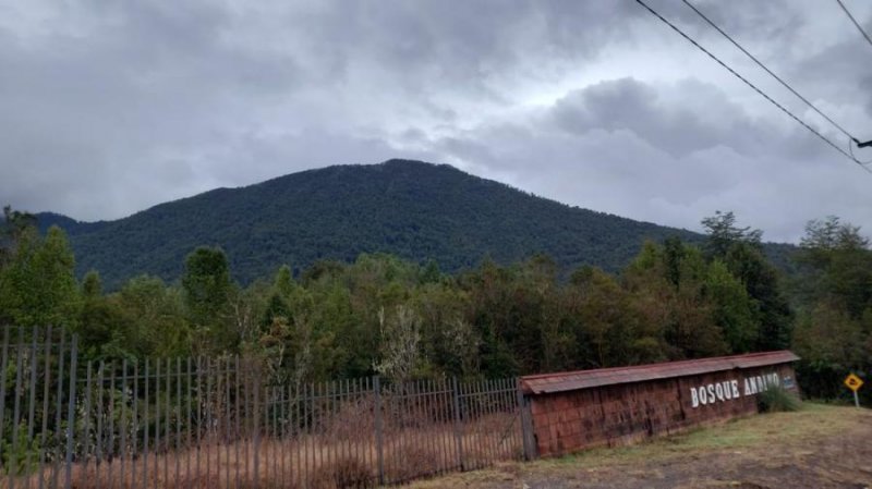 Terreno en Venta en urbana Puerto Montt, Llanquihue