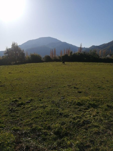 Agricola en Venta en  San Clemente, Talca