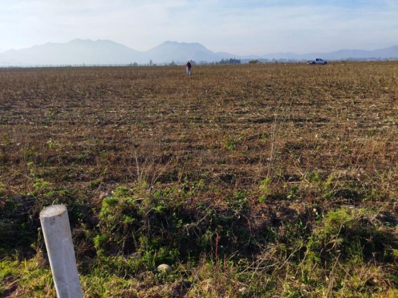 se vende parcela en Vallenar, sector el colmo, 5000 m2 con 0.2 acción de agua