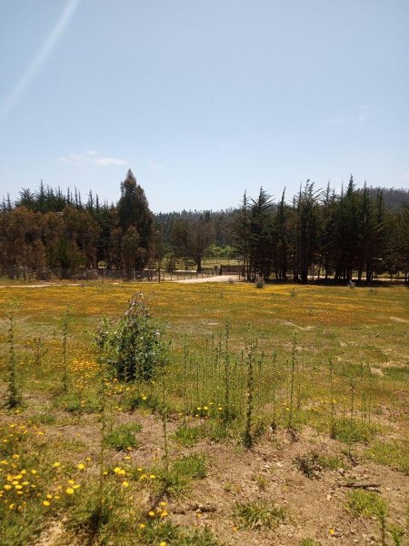 Se vende parcela, ubicada en el Valle Hidango, sexta region Litueche