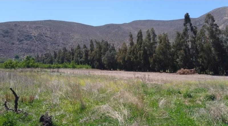 Foto Terreno en Venta en Sector El Escorial, San Felipe de Aconcagua - 1 hectareas - UFs 3.250 - TEV149381 - BienesOnLine