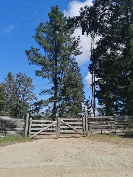 Sitio en Venta en Puertecillo Navidad, Cardenal Caro