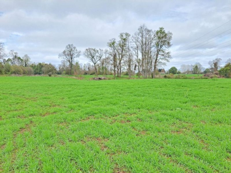 Terreno en Venta en Norte Sector  Rapaco, Valdivia