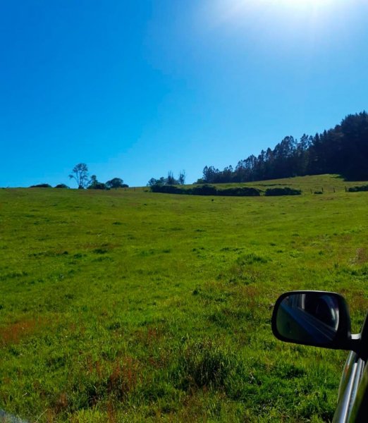 Terreno en Venta en Comuna de Río Negro, sector Los Parrones Altos Río Negro, Osorno