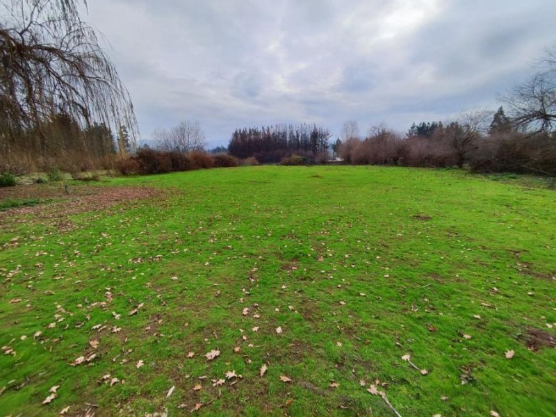 SE VENDE TERRENO DE 5.000 M2 EN YUMBEL. 