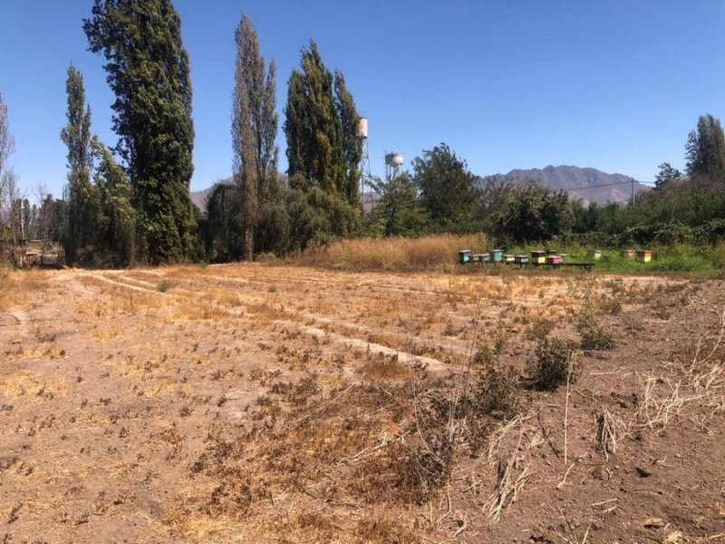 Foto Terreno en Venta en LA TROYA, SAN FELIPE, San Felipe de Aconcagua - $ 27.500.000 - TEV138291 - BienesOnLine