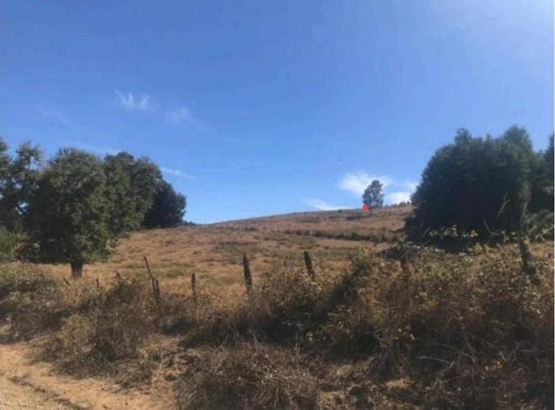 Terreno en Venta en El Nogal Lautaro, Cautin